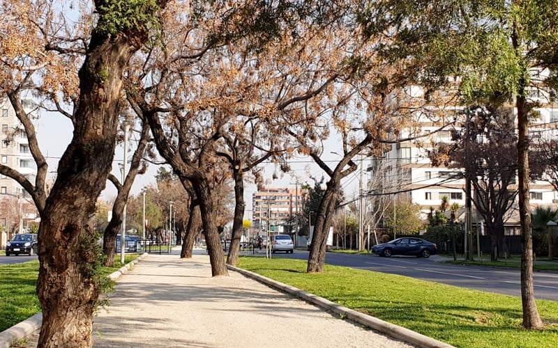m_parque
